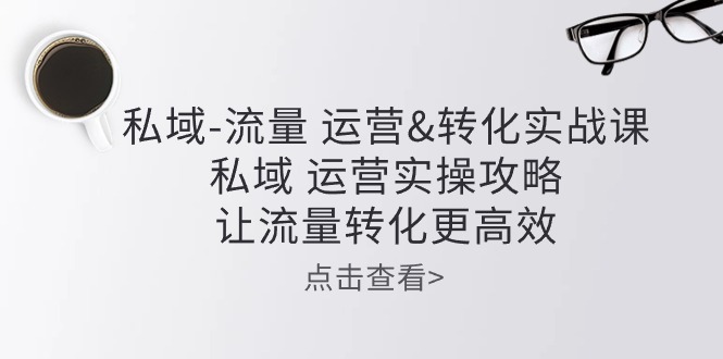 私域-流量 运营&转化实操课：私域 运营实操攻略 让流量转化更高效-观棋网创