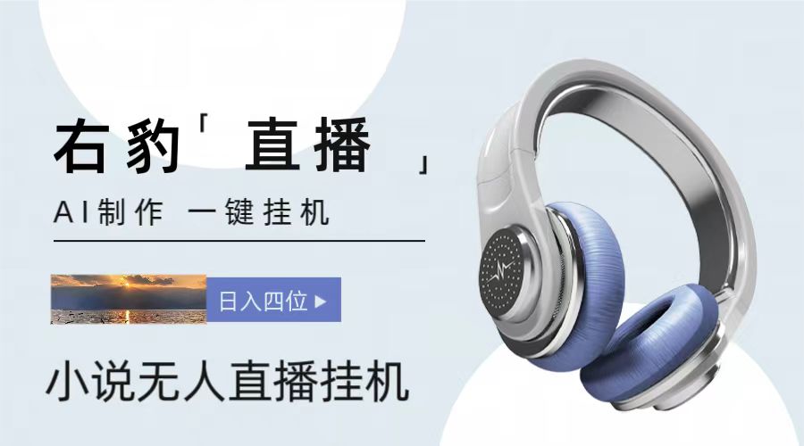 右豹小说无人直播挂机吸金项目，简单易行收益稳定， 月入1000+-观棋网创