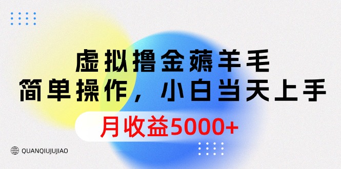 (9864期)虚拟撸金薅羊毛，简单操作，小白当天上手，月收益5000+-观棋网创