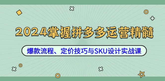 2024掌握拼多多运营精髓：爆款流程、定价技巧与SKU设计实战课-观棋网创