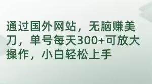 通过国外网站，无脑赚美刀，单号每天300+可放大操作，小白轻松上手【揭秘】-观棋网创