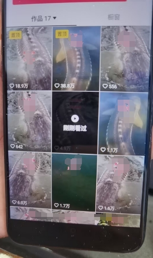 外面卖399的国学佛像原创暴力起号技术，快速起号，7天可达到一个万粉号-观棋网创