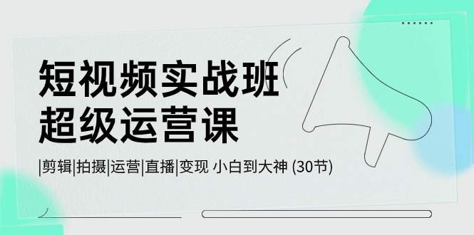 短视频实战班超级运营课 |剪辑|拍摄|运营|直播|变现 小白到大神 (30节)-观棋网创
