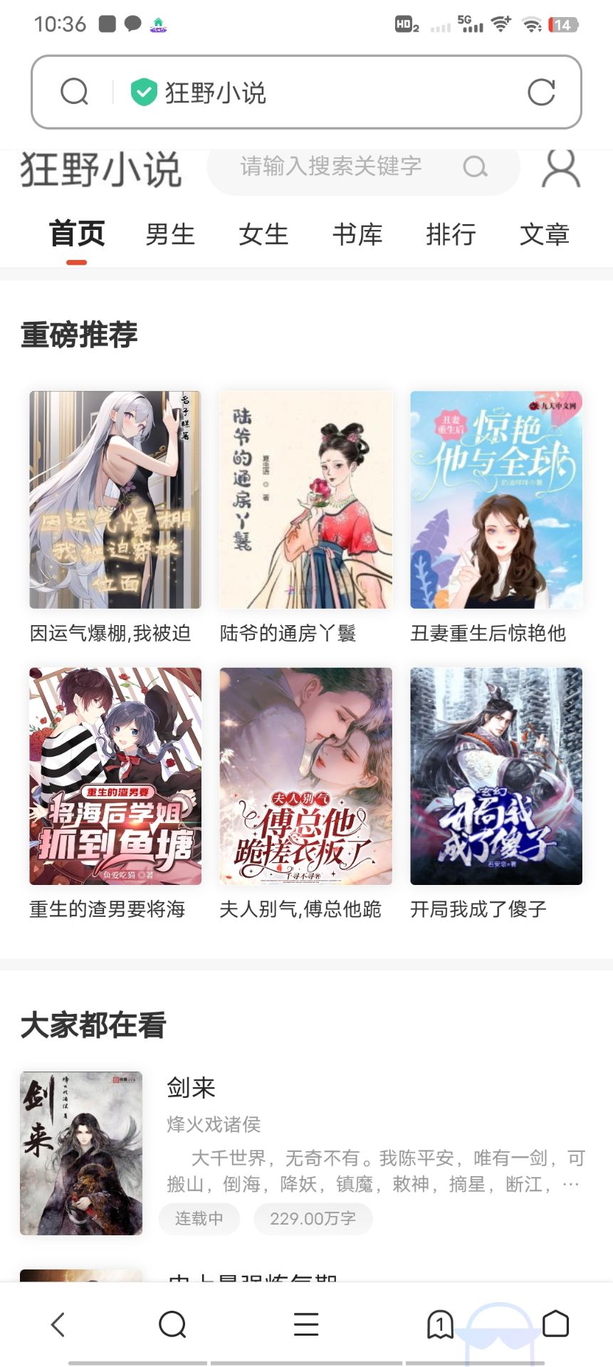 小说网站源码带管理后台手机端和采集-观棋网创