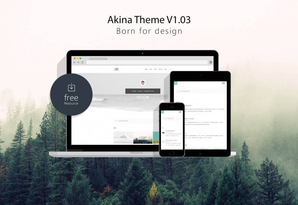 WordPress主题 极简主题Akina-观棋网创