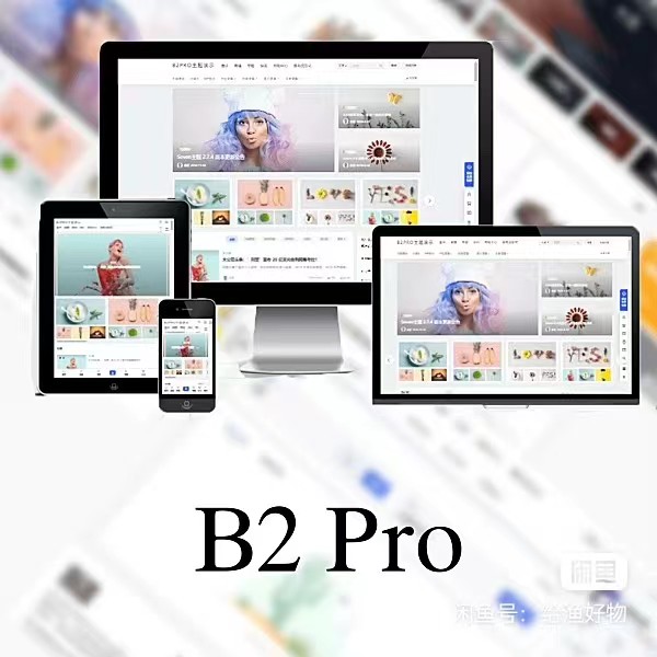 WordPress B2 Pro 主题5.2.0最新开心版,附带官方包体与授权文件-观棋网创